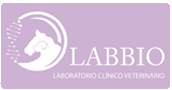 Labbio