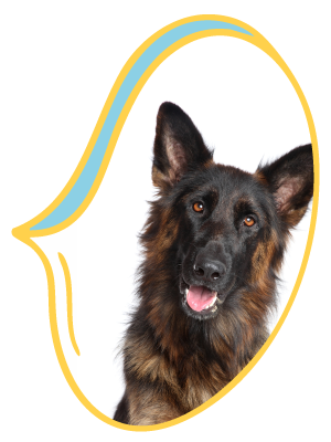 Congreso de Pequeños Animales del Litoral